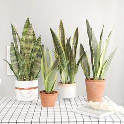 DIY Artificial Sansevieria Branch: Outdoor Fake Plants For Home Garden Decoration 4 Leaves 372A