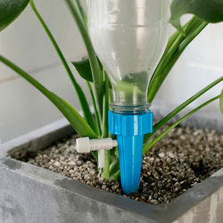 Plant Watering Spikes With Adjustable Valve 12 Pack