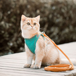 Harness And Leash Escape Proof Luminous Cat Vest Green XL