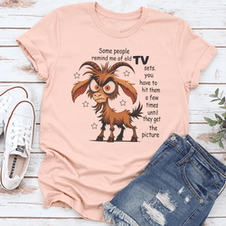 Some People Remind Me Of Old Tv Sets You Have To Hit Them A Few Times Tee XL Heather Prism Peach