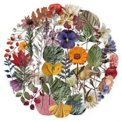 50PCS Vintage Realistic Dried Pressed Flower Stickers, Transparent Waterproof PET Nature Plant Decals for Scrapbooking