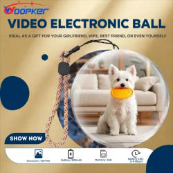 WOOPKER 3D Video Memory Orb 4GB Video Player 400mAh Crystal Ball Lamp Resolution 480×480 DIY Memory Art Glass Ball for Gift