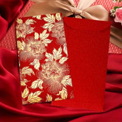 6pcs Chinese New Year Red Envelopes,Red Pocket Envelopes Chinese Red Packets Hong Bao Gift Money Envelopes Lucky Money Envelopes