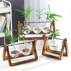 Hydroponic Plant Vase With Wooden Stand style B 1