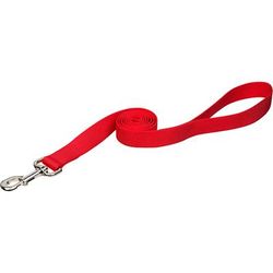 Nylon Personalized Dog Leash in Red, 4' L X 1" W, X-Small