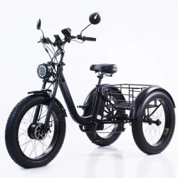 New Electric Tricyle Adult Electric Bicycle 24Inch Fat Tire 750W15AH Mobile Battery Mountain Ebike 3Wheel Electric Cargo Bike