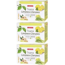 NATURPLUS Tisana Limone e Zenzero 3x30 g Polvere per soluzione orale