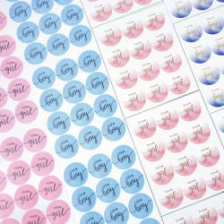 120pcs Team Boy Team Girl Stickers Baby Shower Boy or Girl Sticker Gender Reveal Party Decorations DIY Gift Box Label Supplies