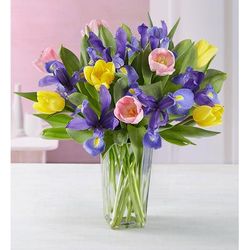 1-800-Flowers Seasonal Gift Delivery Fanciful Spring Tulip & Iris Bouquet W/ Clear Vase | Send The Gift Of Flowers