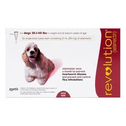 Revolution For Medium Dogs 20.1-40lbs (Red) 6 Doses