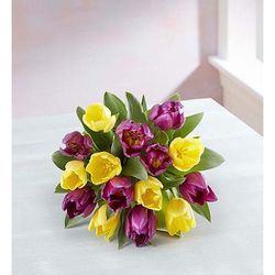 1-800-Flowers Seasonal Gift Delivery Spring Passion Tulip Bouquet 15 Stems, Bouquet Only | Happiness Delivered To Their Door