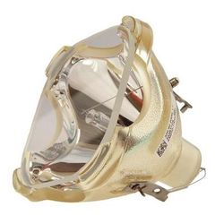 Jaspertronics™ OEM 9281-347-05390 Bulb (Lamp Only) Various Applications with Philips bulb inside - 240 Day Warranty