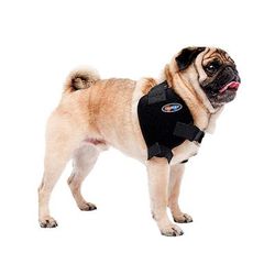 Hot & Cold Therapy Wrap with Gel for Dog Shoulders, Small, Black