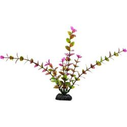 Imagitarium Purple & Green Midground Aquarium Plant