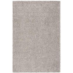 Athens Shag Collection 4' X 6' Rug in Silver - Safavieh SGA119S-4