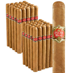 Palma Real 2 Fer Connecticut - BUNDLE 50