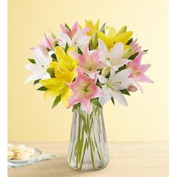 1-800-Flowers Seasonal Gift Delivery Sweet Spring Lily Single Bouquet W/ Clear Vase | Happiness Delivered To Their Door