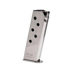 Walther Arms PPK 380 .380ACP 6 Round Pistol Magazine Standard Nickel 1 Pack Stainless Steel 2246009-6RD