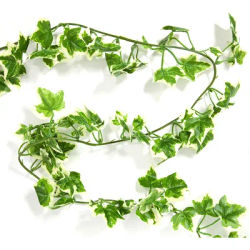 Guirlande de lierre, vert/blanc, 2,7 m