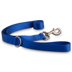 Blue Nylon Dog Leash, 1" Width, 4 ft., Small/Medium