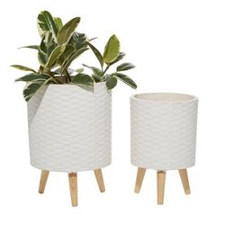 Juniper + Ivory Set of 2 14 In., 16 In. Contemporary Planter White Polystone - Juniper + Ivory 46500