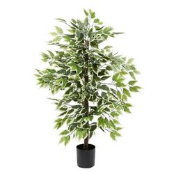 Juniper + Ivory 38 In. x 23 In. Traditional Artificial Ficus Green Polyester - Juniper + Ivory 88286