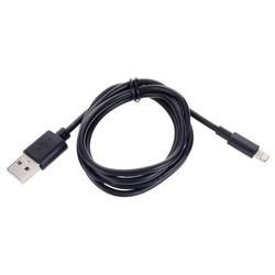 Ansmann Lightning/ USB-A 100
