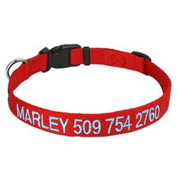 Personalized Dog Collar with Custom Embroidery, Red, Medium