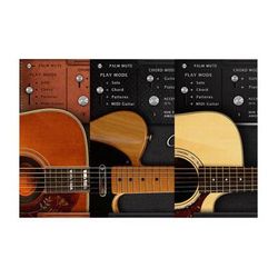 acousticsamples AS Guitar Collection Virtual Instrument Bundle (Download) AS GUITAR COLLECTION