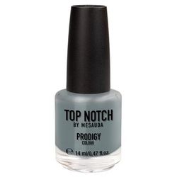 TOP NOTCH - PRODIGY Nail Colour Smalti 14 ml Grigio female