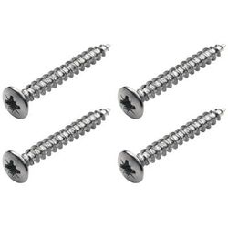 Warwick Screws Bolt-On Necks/Gurt CH