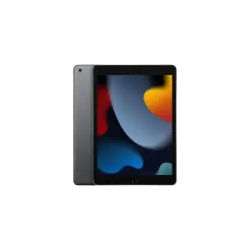 Apple iPad (9^gen.) 10.2 Wi-Fi 256GB - Grigio siderale