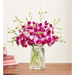 1-800-Flowers Flower Delivery Exotic Breeze Orchids 10 Stems W/ Clear Vase | Put A Smile On Their Face