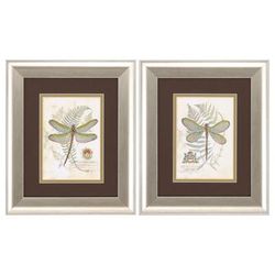 Dragonfly Framed Wall Décor, Set Of 2 by Propac Images in Neutral
