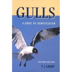 Gulls: A Guide To Identification - Second Edition