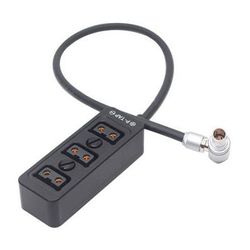 DigitalFoto Solution Limited 2-Pin LEMO 12V Output to D-Tap Power Splitter Cable (11.8") AR31