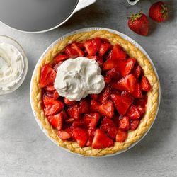 9 X 1 Inch Stoneware Pie Plate by Taste of Home in Ash Grey