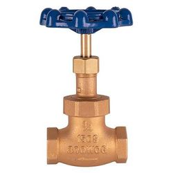 T&S 006648-20B 3/4" Globe Valve, Blue Handle