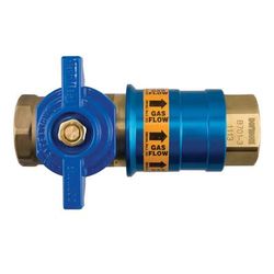 Dormont 3/4" Quick Disconnect Female Coupler, CF75