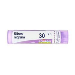 Ribes Nigrum 30Ch Gr 4 g Granuli