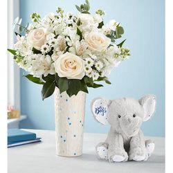 1-800-Flowers Everyday Gift Delivery New Baby Boy Bouquet Beautiful Blooms W/ Vase & Elephant Plush