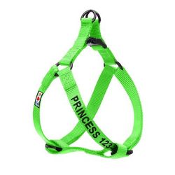 Green Personalized Solid Dog Harness, X-Small