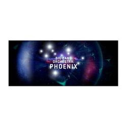 Vienna Symphonic Library Big Bang Orchestra: Phoenix Pitched Solo Percussion Virtual Instrument (Dow VSLSYT33