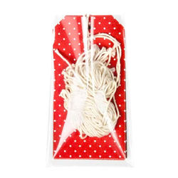 Crystal Clear Easy Packaging No Flap Bags For Gift Tags and Scorecards Bag Size: 3" x 5 1/8" 100 Bags Crystal Clear Bags