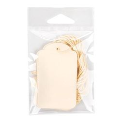 Crystal Clear Hanging Bags 2 3/4" x 3 1/2" 100 pack