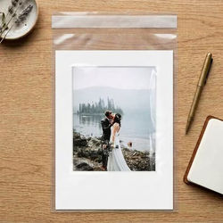 Eco Clear Bags 12 7/16" x 18 1/4" + Flap 100 pack
