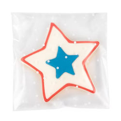 Frosted Flap Seal Bags with Dots 100 Pack 5" x 5"