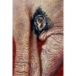 Tanda Hitam,'Signed Realist Oil Painting on Canvas'