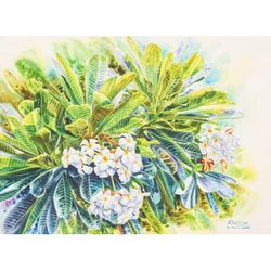 Frangipani Season II,'Watercolor Impressionist Painting of Frangipani Flowers'