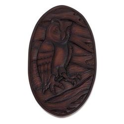 Owl Watcher,'Owl-Themed Pochote Wood Relief Panel from Costa Rica'